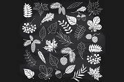 Chalkboard Autumn Forest | Illustrator Graphics ~ Creative Market