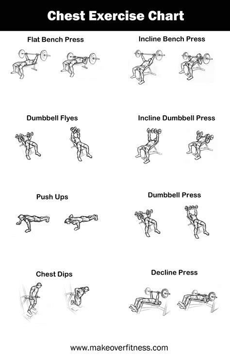 Chest Exercise Chart - Free Printable Gym Workout Routines - Free Printable