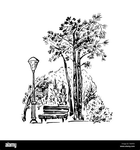 Park scene hand drawn ink illustration. Landscape ink pen sketch. Black and white clipart ...