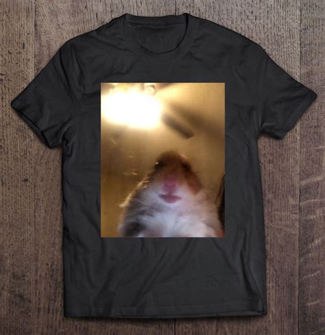 Hamster Staring At Camera Meme