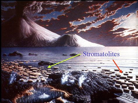 Bob Gardner's "Dinosaurs" Planetarium Show, The Timeline