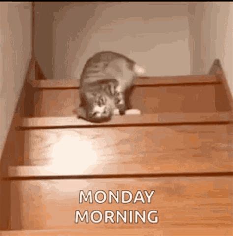 Monday Morning GIFs | Tenor