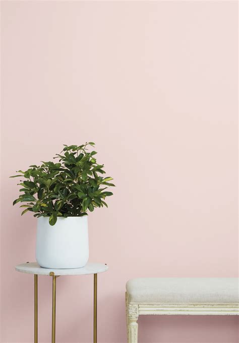 Light Pink Paint Color: A Look At The Softest Shade - Paint Colors