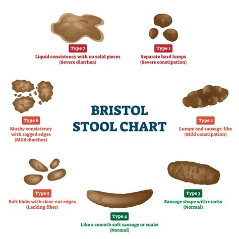 poop stool color changes color chart and meaning healthy concept stock ...