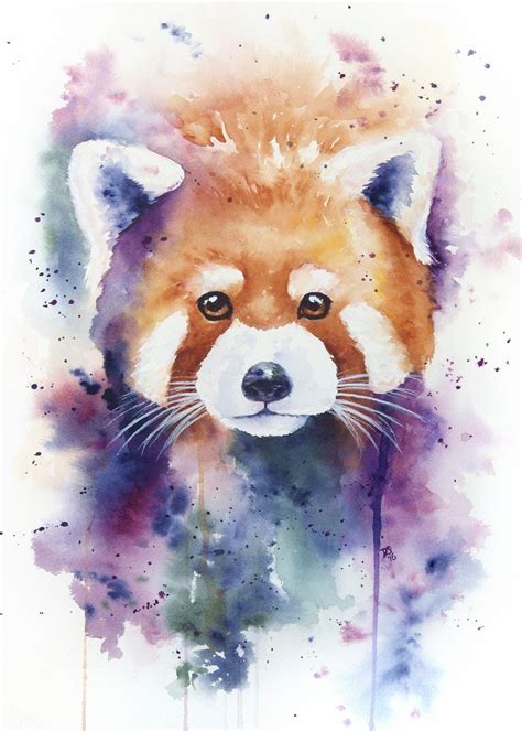 Watercolor Red Panda Standard Art Print Red Panda Painting