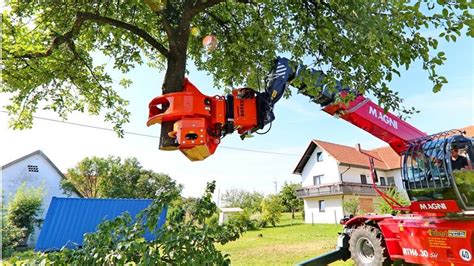 Extreme Equipment Excavator Cutting Tree Machine / Heavy Equipment Cutting Big Tree Machine ...