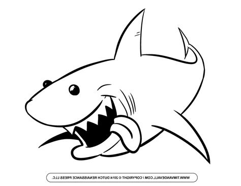 Shark Outline Drawing | Free download on ClipArtMag