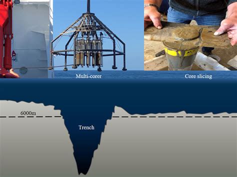 A Deep Dive into Organic Carbon Distribution in Hadal Trenches - Eos