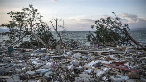 Why Sulawesi's tsunami is puzzling scientists - BBC News