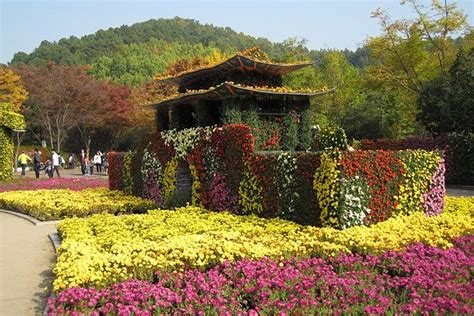 THE 15 BEST Things to Do in Daegu - 2022 (with Photos) - Tripadvisor