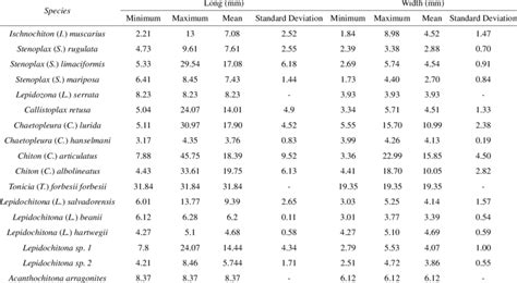 Size measurements of POLYPLACOPHORA species found at the intertidal... | Download Table