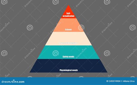 Maslow`s Hierarchy Of Needs Vector Illustration | CartoonDealer.com #245574904