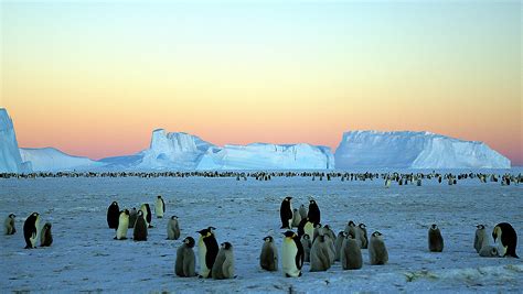 Wait, what? Antarctica gaining ice despite climate change, study says