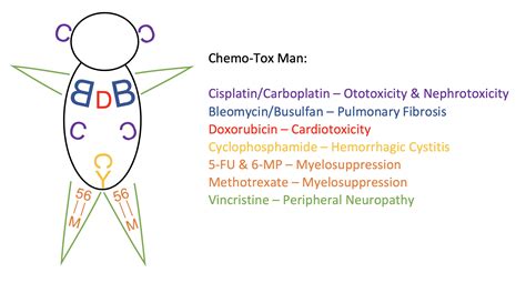 Chemotherapy - The Operative Review Of Surgery