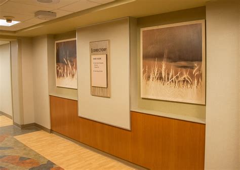 Hospital Wall Art - An Installation Story - Franklin Arts