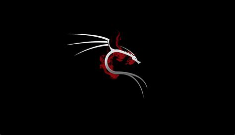 1336x768 Kali Linux 4k Laptop HD ,HD 4k Wallpapers,Images,Backgrounds ...