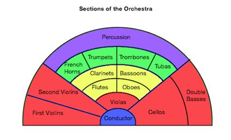 Orchestra: Definition, Sections & Layout - Video & Lesson Transcript | Study.com