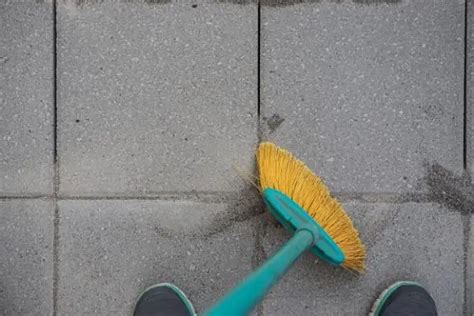 Polymeric Sand vs Regular Sand for Pavers — Which is Better