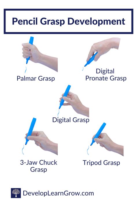 Development of Pencil Grasp - How to Promote a Functional Grasp with 5 Types of Activities ...