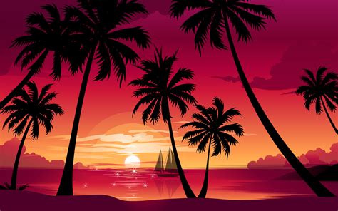 🔥 [50+] Palm Tree Sunset Wallpapers | WallpaperSafari