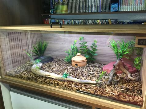 Vivarium Corn Snake Snake Enclosure, Pet Enclosure, Enclosures, Diy Reptile, Reptile Cage, Corn ...