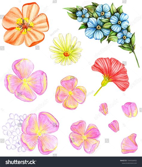 103,384 Coloured Pencil Flower Images, Stock Photos & Vectors | Shutterstock