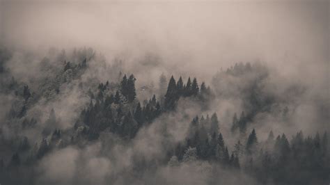 Fog Landscape Wallpapers - Top Free Fog Landscape Backgrounds ...