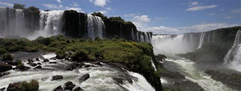 Wildlife watching in Iguazu Falls - WildSide - the World Wild Web