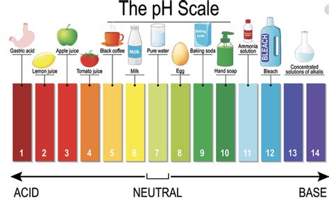 pH Scale