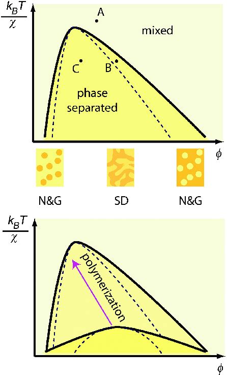 (Top) Schematic phase diagram of a polymer solution, as a function of... | Download Scientific ...