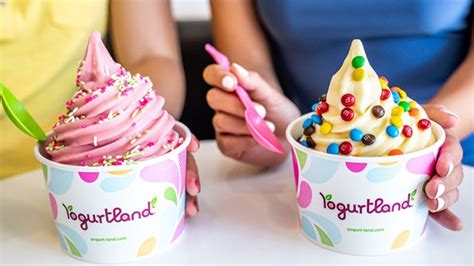 19 Yogurtland Frozen Yogurt Flavors Ranked Worst To Best