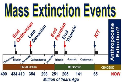 Mass extinction likely if we burn all fossil fuels - Market Business News