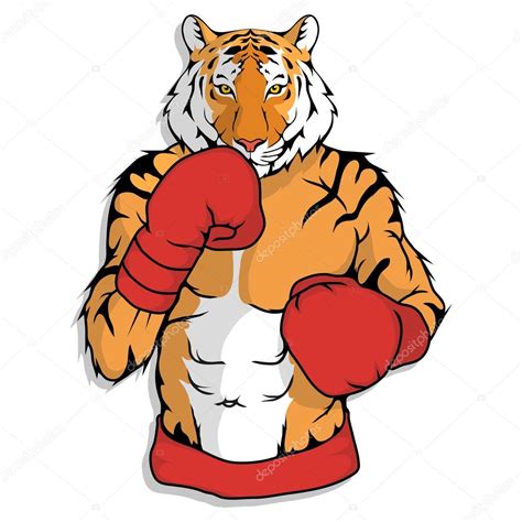 Tiger dressed up in boxing style Stock Illustration by ©korniakovstock ...