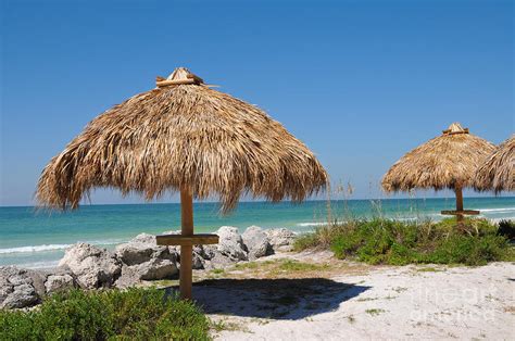 Tiki Hut on the Beach Photograph by Mark Winfrey