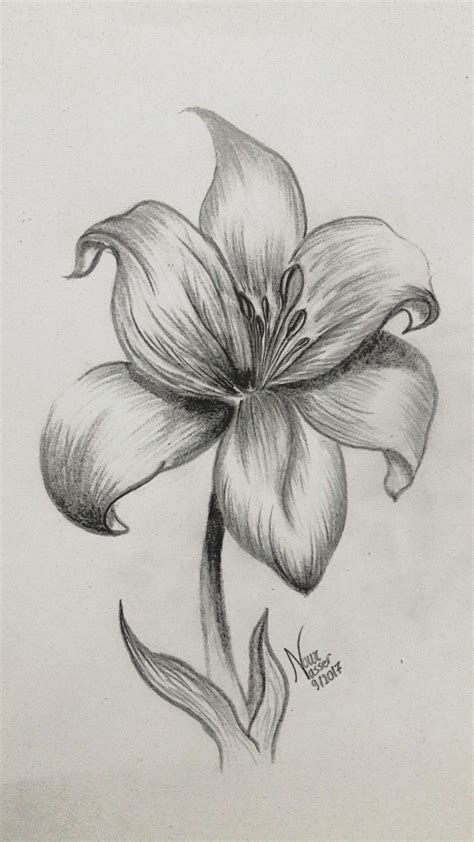 Easy Flower Bouquet Pencil Art Flower Drawing - img-omnom