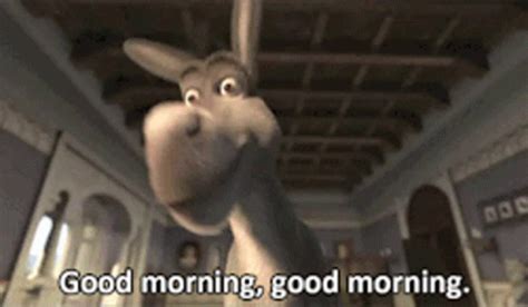 Shrek Donkey GIF - Shrek Donkey GoodMorningGoodMorning - Discover ...