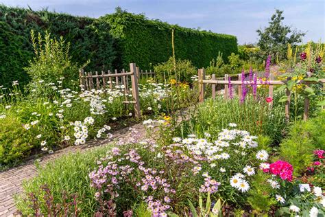 Wildflower Meadow Garden