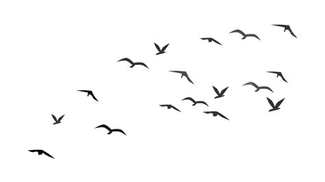 Flock Flying Birds Silhouette Vector, Flying Birds, Birds Flying, Birds Silhouette PNG and ...