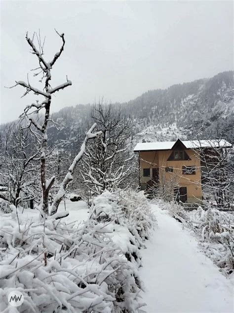 Snowfall In Manali: The Ultimate Guide You'll Ever Need