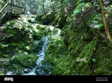 Waterfall in Canada Stock Photo - Alamy