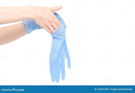 Medical gloves in hand stock photo. Image of human, nurse - 116421396