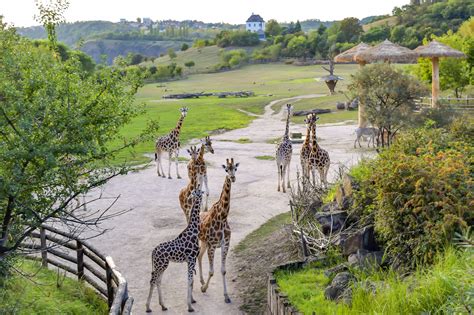 Prague Zoo