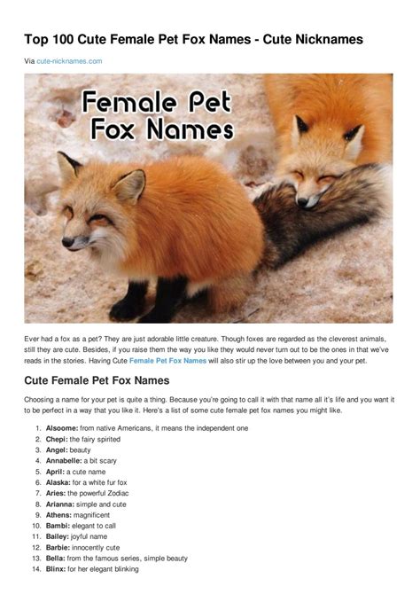 Top 100 cute female pet fox names cute nicknames by Cute Nicknames - Issuu