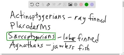 SOLVED: Question 9 Based on the vertebrate phylogeny, which classification of organisms will ...