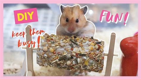 ROLLING TUBE CHEW TOY DIY FOR HAMSTERS | MiaKamille | Philippines - YouTube