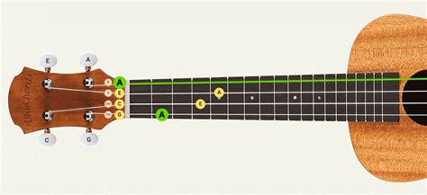 Free Online Ukulele Tuner, Standard and Special Tunings • UkuTabs