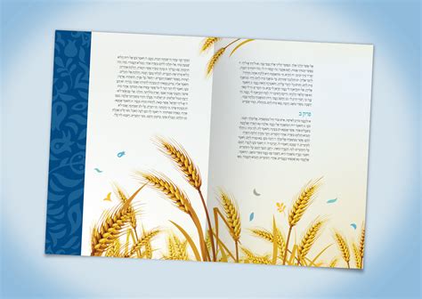 Book of Ruth on Behance