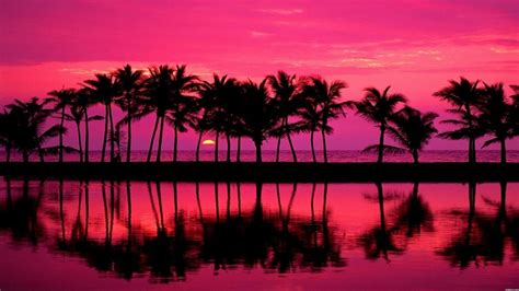 Coucher de soleil - Palmiers - Plage - Ciel - Wallpaper - Free - Le ...