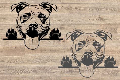 Pit bull Peeking Peek-A-Boo SVG Bulldogs Pitbull Puppy peekaboo 1684s By HamHamArt | TheHungryJPEG