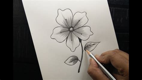 realistic flower drawing easy - Fitted Cyberzine Portrait Gallery